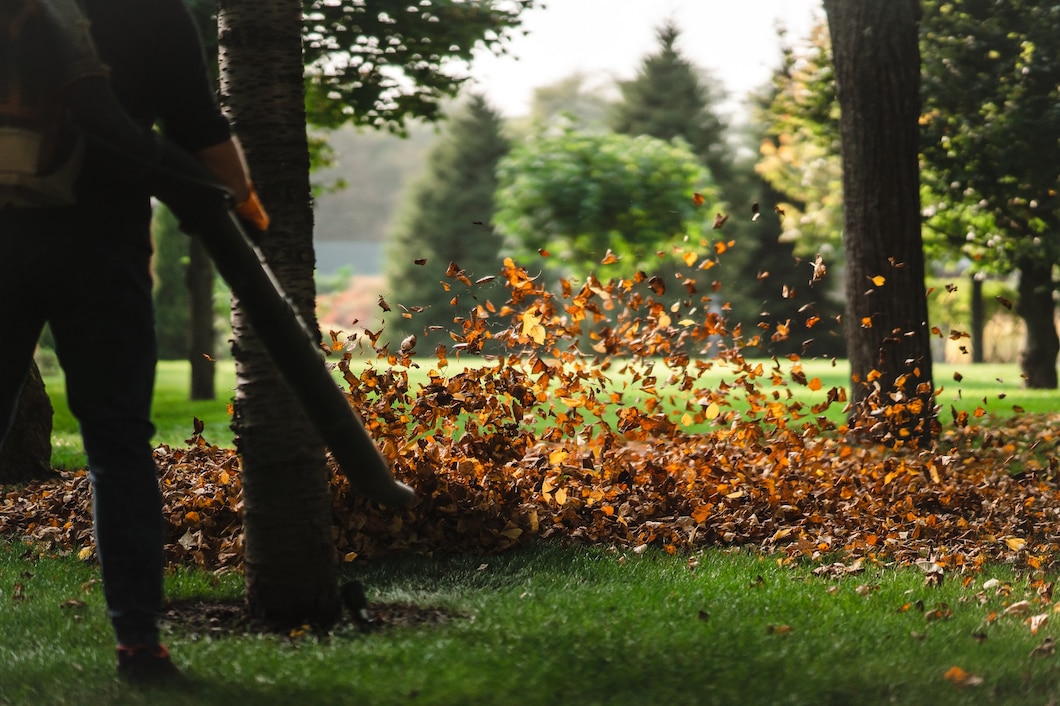 Jak wybrać idealną dmuchawę do liści dla naszego ogrodu?
